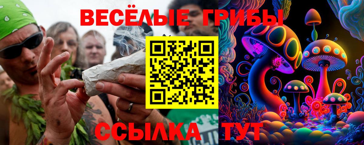 Псилоцибиновые грибы Cubensis  Вход с VPN  Лесозаводск 